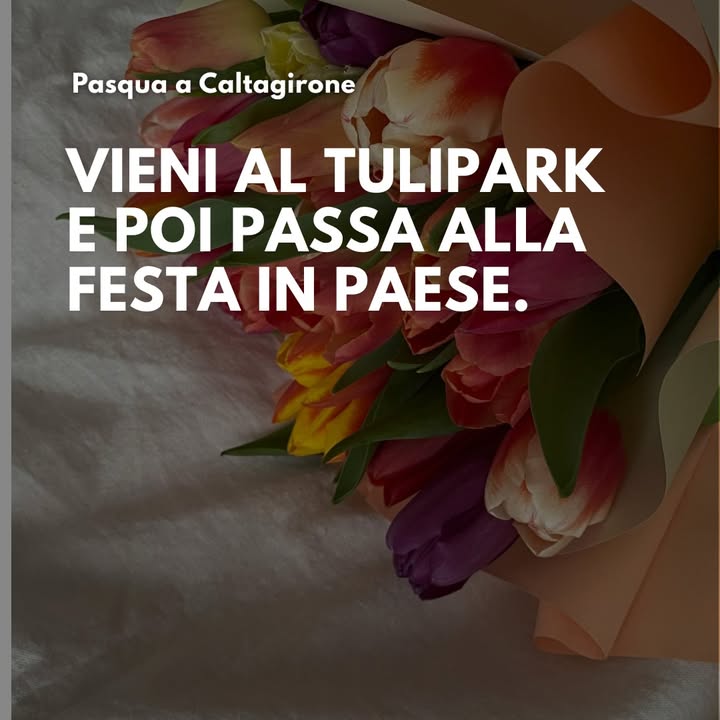TuliPark - Caltagirone