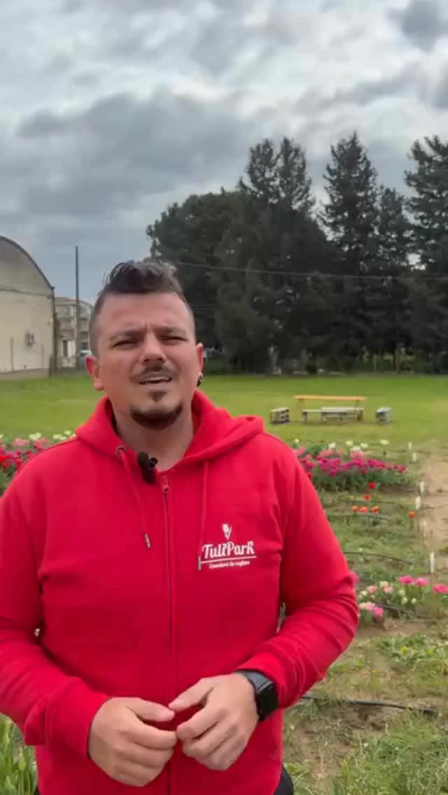 TuliPark - Caltagirone