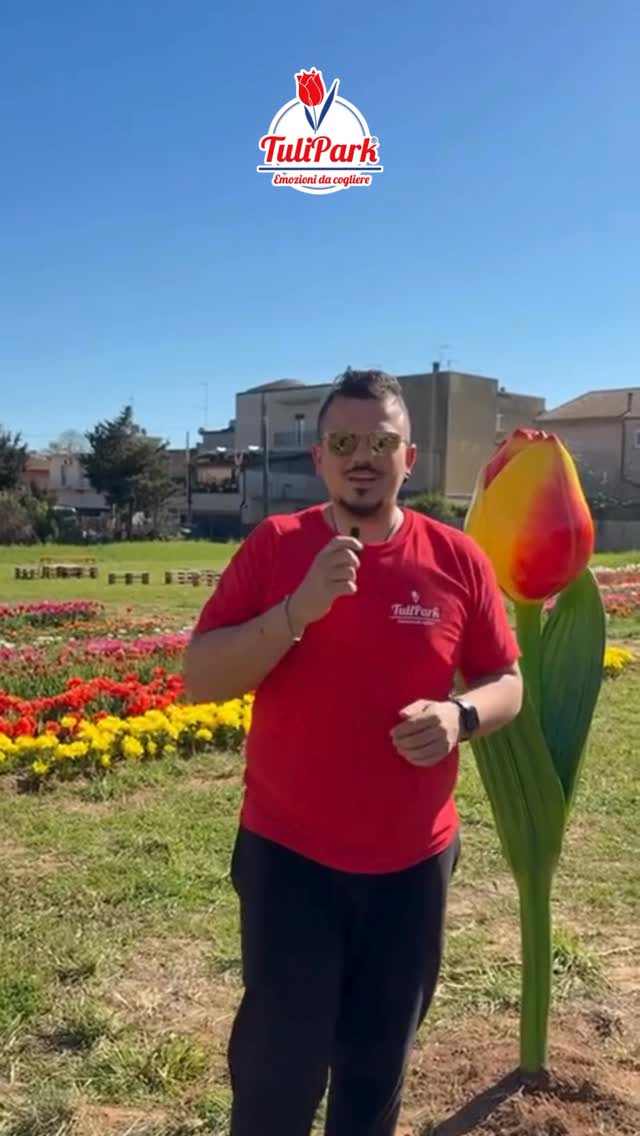 TuliPark - Caltagirone