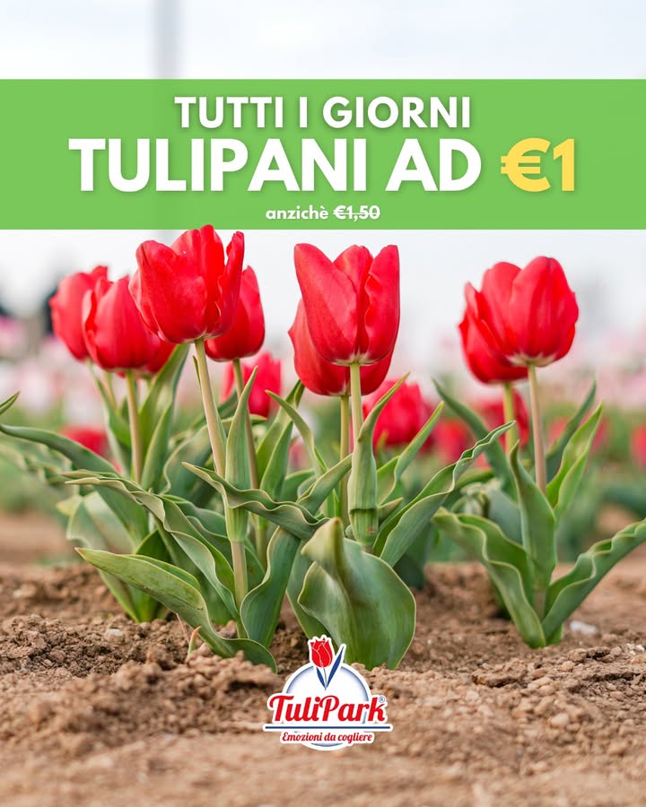 TuliPark - Caltagirone