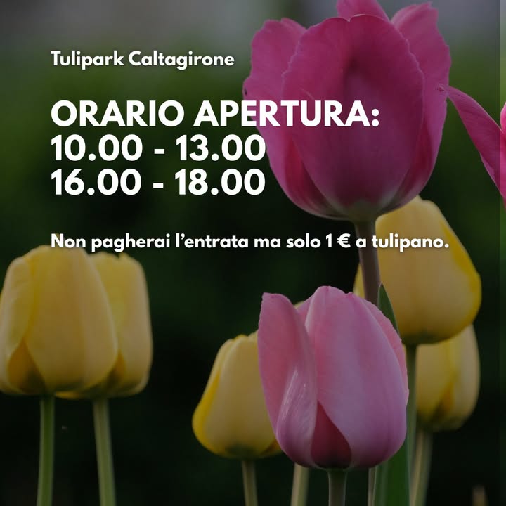 TuliPark - Caltagirone