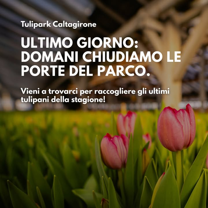 TuliPark - Caltagirone