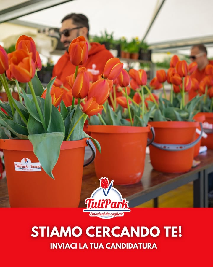 TuliPark - Catania