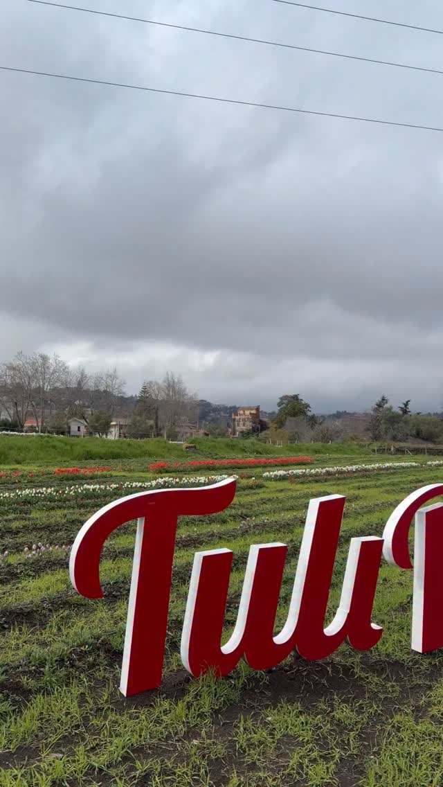 TuliPark - Catania
