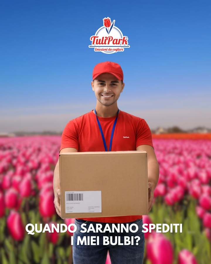 TuliPark - Catania
